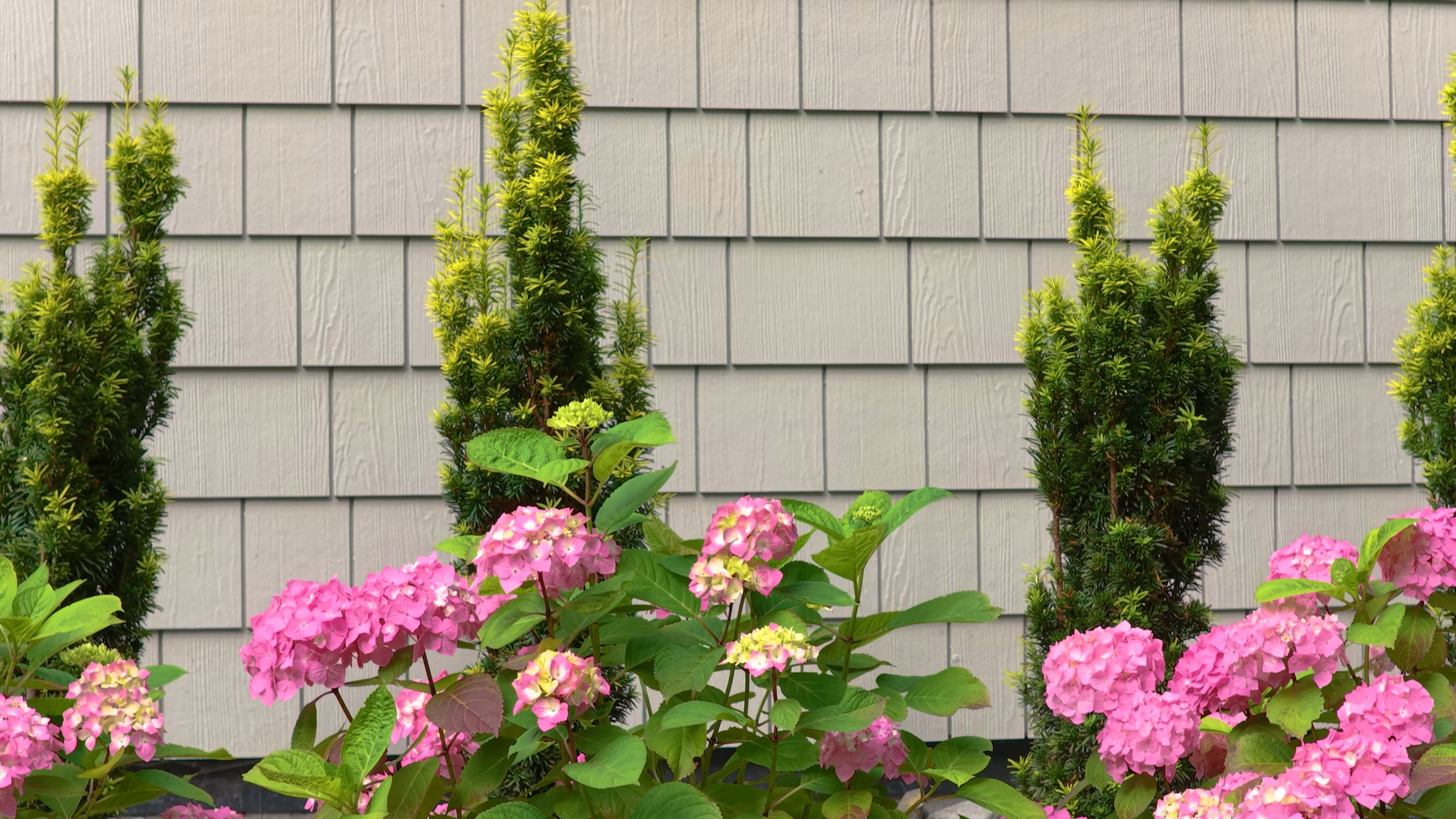 The Dale — West Vancouver — image 3